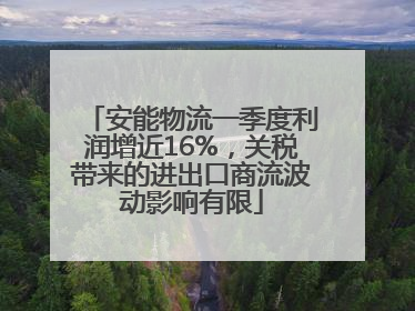 安能物流一季度利润增近16%，关税带来的进出口商流波动影响有限