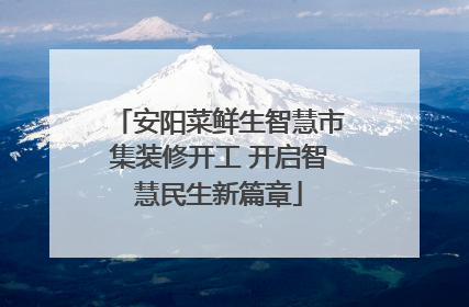 安阳菜鲜生智慧市集装修开工 开启智慧民生新篇章