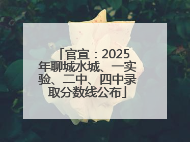 官宣：2025年聊城水城、一实验、二中、四中录取分数线公布