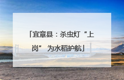 宜章县：杀虫灯“上岗” 为水稻护航