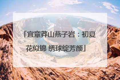 宜章莽山燕子岩：初夏花似锦 绣球绽芳颜