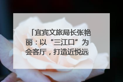 宜宾文旅局长张艳丽：以“三江口”为会客厅，打造近悦远来的国际旅游城市｜文旅局长说
