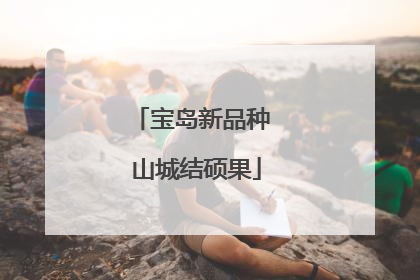 宝岛新品种 山城结硕果
