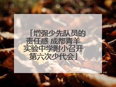 增强少先队员的责任感 成都青羊实验中学附小召开第六次少代会