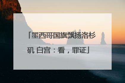 墨西哥国旗飘扬洛杉矶 白宫：看，罪证