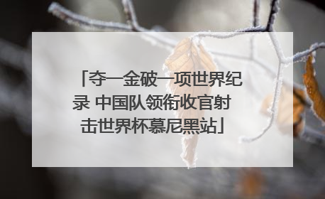 夺一金破一项世界纪录 中国队领衔收官射击世界杯慕尼黑站