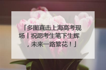 多图直击上海高考现场丨祝愿考生笔下生辉，未来一路繁花！