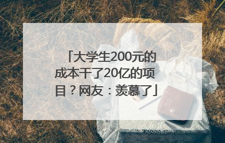 大学生200元的成本干了20亿的项目？网友：羡慕了