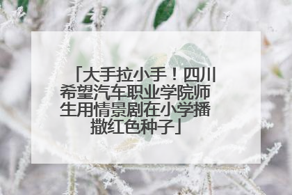 大手拉小手！四川希望汽车职业学院师生用情景剧在小学播撒红色种子