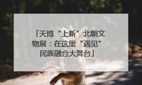 天博“上新”北朝文物展：在这里“遇见”民族融合大舞台