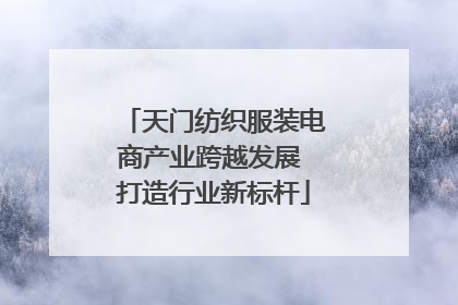 天门纺织服装电商产业跨越发展 打造行业新标杆
