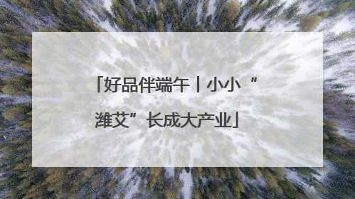 好品伴端午丨小小“潍艾”长成大产业