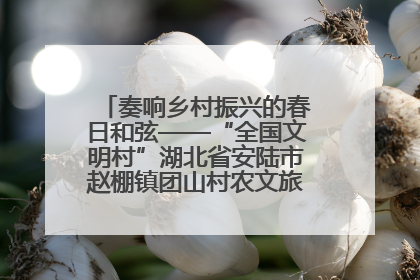 奏响乡村振兴的春日和弦——“全国文明村”湖北省安陆市赵棚镇团山村农文旅融合发展见闻