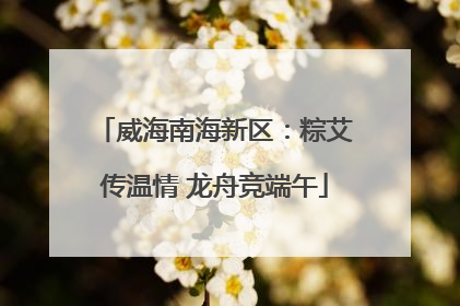 威海南海新区：粽艾传温情 龙舟竞端午