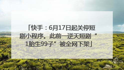 快手：6月17日起关停短剧小程序。此前一逆天短剧“1胎生99子”被全网下架