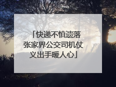 快递不慎遗落 张家界公交司机仗义出手暖人心