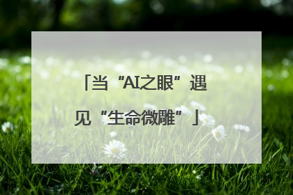 当“AI之眼”遇见“生命微雕”