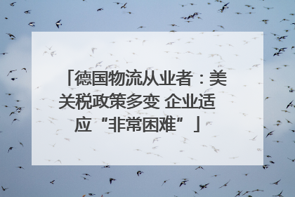 德国物流从业者：美关税政策多变 企业适应“非常困难”