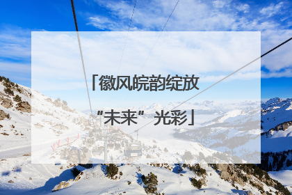 徽风皖韵绽放“未来”光彩