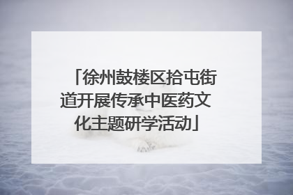 徐州鼓楼区拾屯街道开展传承中医药文化主题研学活动
