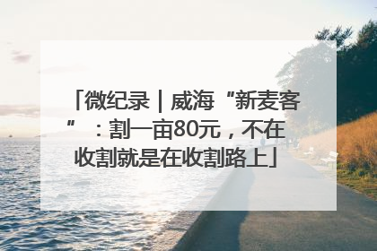 微纪录｜威海“新麦客”：割一亩80元，不在收割就是在收割路上