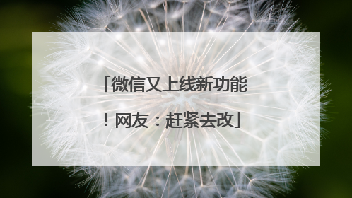 微信又上线新功能！网友：赶紧去改