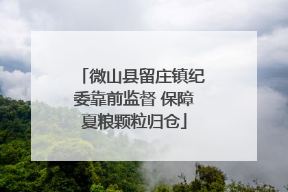 微山县留庄镇纪委靠前监督 保障夏粮颗粒归仓