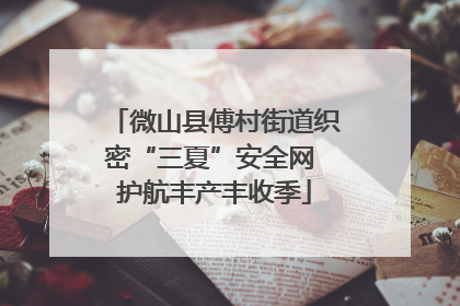 微山县傅村街道织密“三夏”安全网 护航丰产丰收季