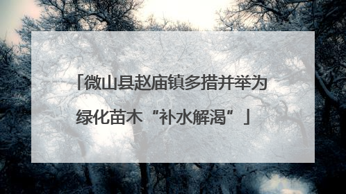 微山县赵庙镇多措并举为绿化苗木“补水解渴”
