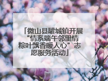 微山县驩城镇开展“情系端午邻里情 粽叶飘香暖人心”志愿服务活动