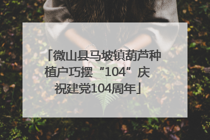 微山县马坡镇葫芦种植户巧摆“104”庆祝建党104周年