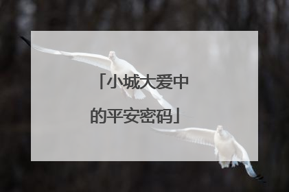 小城大爱中的平安密码