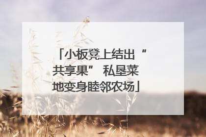 小板凳上结出“共享果” 私垦菜地变身睦邻农场