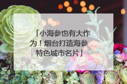 小海参也有大作为！烟台打造海参特色城市名片