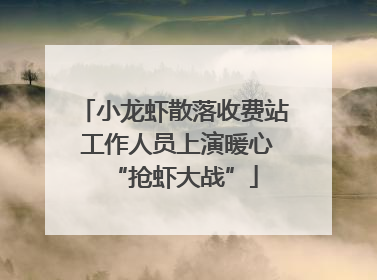 小龙虾散落收费站 工作人员上演暖心“抢虾大战”