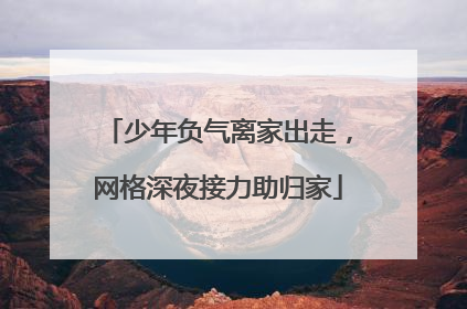 少年负气离家出走，网格深夜接力助归家