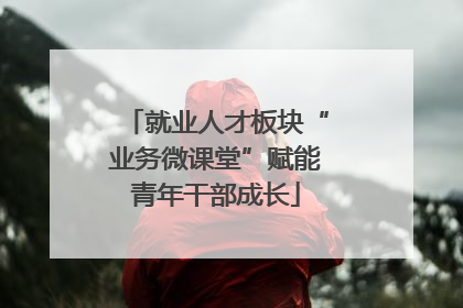 就业人才板块“业务微课堂”赋能青年干部成长