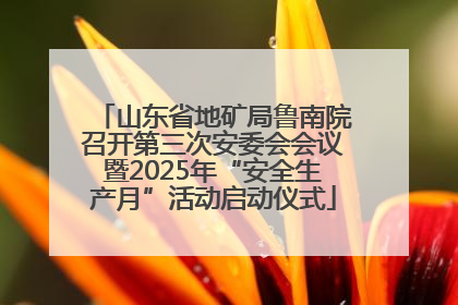 山东省地矿局鲁南院召开第三次安委会会议暨2025年“安全生产月”活动启动仪式