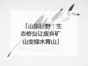 山东巨野：生态修复让废弃矿山变绿水青山