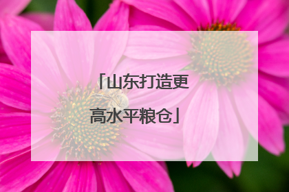 山东打造更高水平粮仓