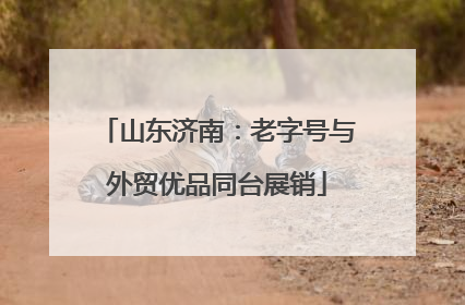 山东济南：老字号与外贸优品同台展销