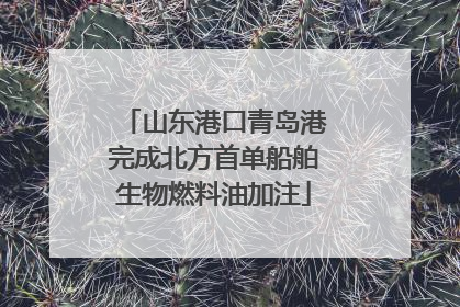 山东港口青岛港完成北方首单船舶生物燃料油加注