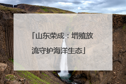 山东荣成：增殖放流守护海洋生态