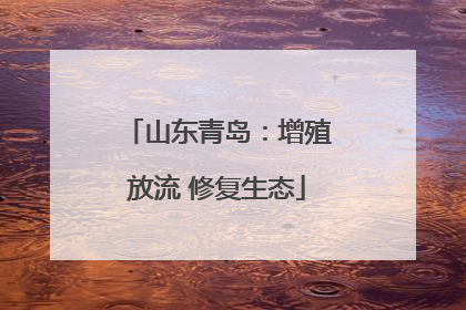 山东青岛：增殖放流 修复生态