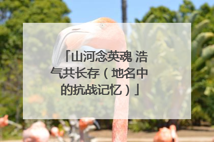 山河念英魂 浩气共长存（地名中的抗战记忆）