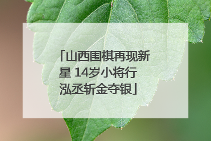 山西围棋再现新星 14岁小将行泓丞斩金夺银