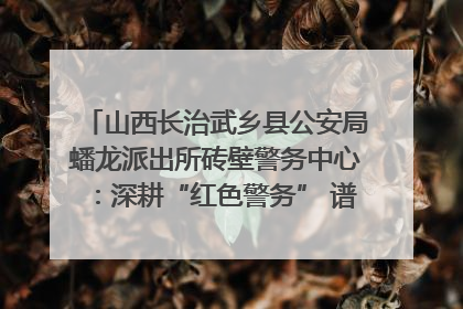 山西长治武乡县公安局蟠龙派出所砖壁警务中心：深耕“红色警务” 谱写“平安答卷”