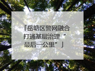 岳塘区警网融合 打通基层治理“最后一公里”