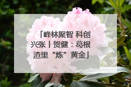 峰林聚智 科创兴张丨贺健：葛根渣里“炼”黄金