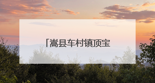 嵩县车村镇顶宝石村：密林之下有诗意有生机